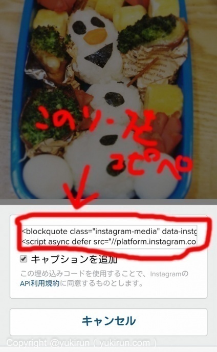 出てきたソースをブログにコピペ！