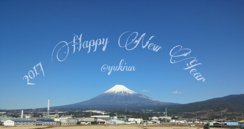 2017 Happy New Year!