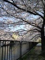 ベンチに座ってボーっと見る