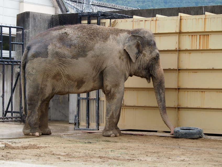 画像：一人ぼっちで遊ぶおばあちゃん像